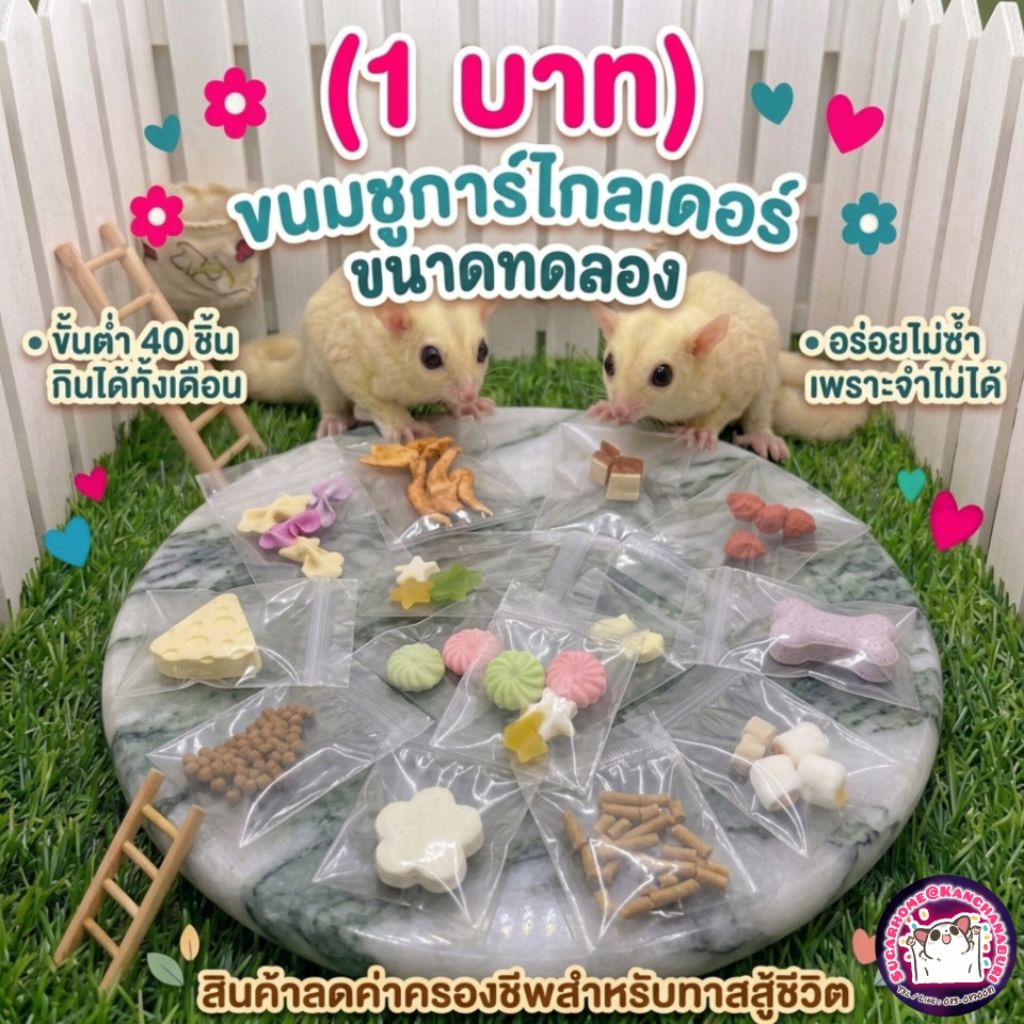 (1 บาท) ขนมชูการ์ไกลเดอร์ ขนาดทดลอง (ขั้นต่ำ 40 ชิ้น)