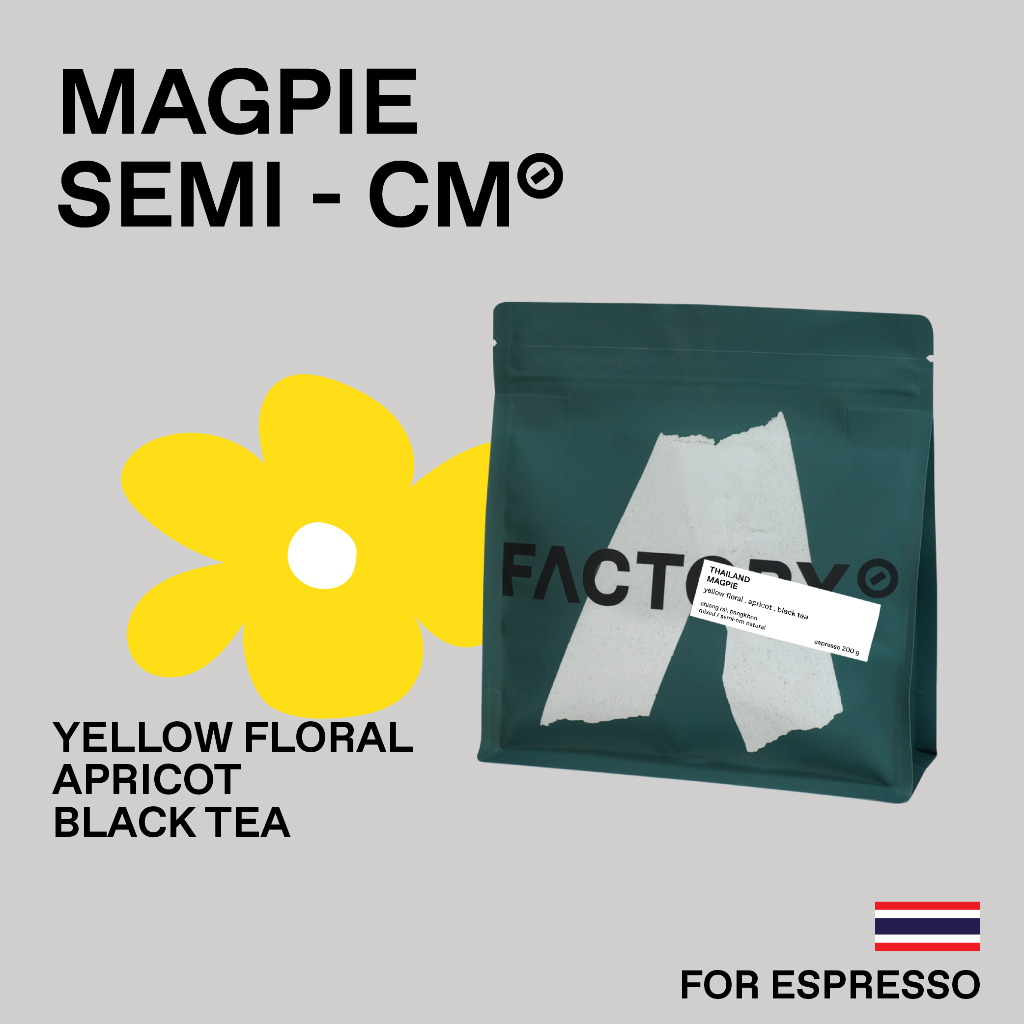 Factory Coffee เมล็ดกาแฟ Pangkhon - Magpie l Semi-CM Natural Process (บรรจุ200g)