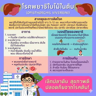 ชุดตรวจโรคพยาธิใบไม้ในตับทางปัสสาวะ Opisthorchis viverrini (OV) Auramed ออร่าเมด มะเร็งท่อน้ำดี