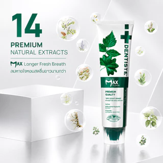 [2 ฟรี! 1] Dentiste’ Anticavity Max Fluoride Toothpaste 100g x 2 รับฟรี! Dentiste' Good Night Pastel Toothbrush