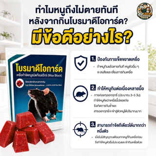 โบรมาดิโอการ์ด Bromadiolone 0.005% | เหยื่อกำจัดหนู 1 กก. | Wax Block กำจัดหนูทุกสายพันธุ์