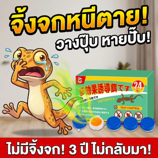 หยดเดียว ตายยกรัง!🦎HL ไล่จิ้งจก ยาฆ่าจิ้งจก ยาฆ่าตุ๊กแก ยาจิ้งจก นำเข้าจากญี่ปุ่น สกัดจากสมุนไพรธรรมชาติ 1 กล่อง 24 เม็ด
