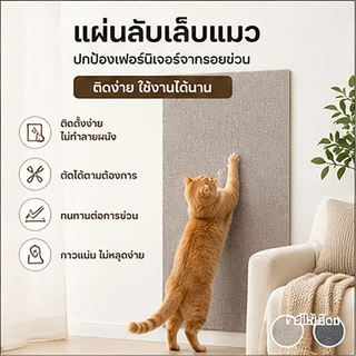 พรมลับเล็บแมว ที่ลับเล็บแมว ติดผนัง พร้อมกาว กันรอยข่วนได้ดี มีทั้งหมด 3 ขนาด