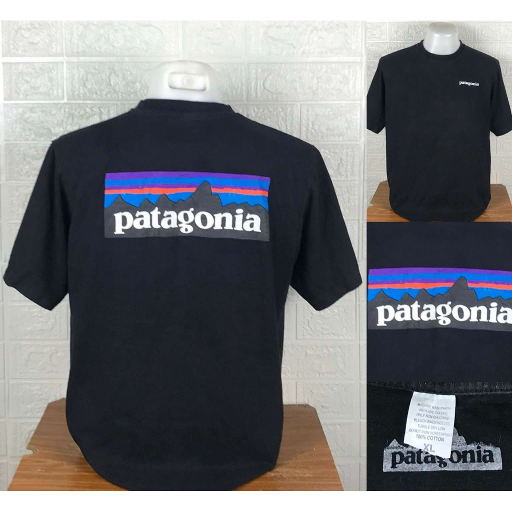 เสื้อยืด patagonia แท้