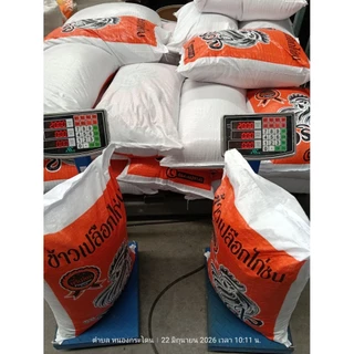 ข้าวเปลือกไก่ ข้าวไก่ชน เมล็ดสั้น อาหารนกเล็ก ตราตริงใจ 20 kg