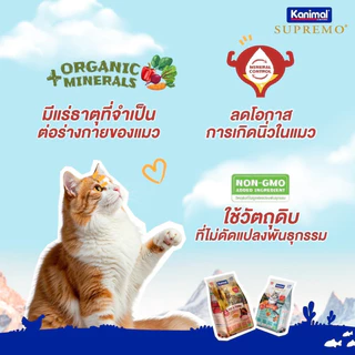 { ถุงแบ่ง ล็อตใหม่ } Kanimal อาหารแมว คานิมอล เนื้อไก่แท้ ไก่ ตัวแน่น ปลา บำรุงขน แซลมอน แกะ ส่งด่วน 900g 1 kg