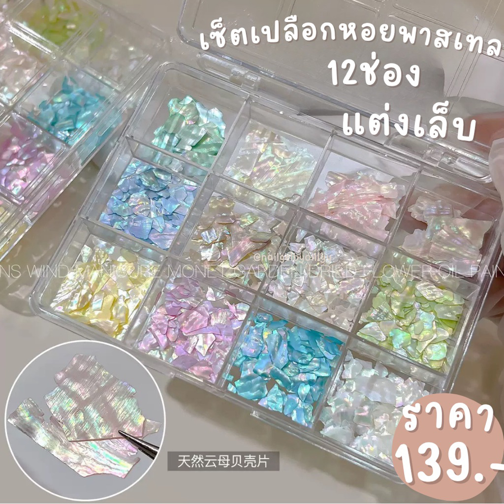 เซ็ตเปลือกหอยพาสเทล12ช่องแต่งเล็บ พร้อมส่ง เปลือกหอยพาสเทลแต่งเล็บ12ช่อง