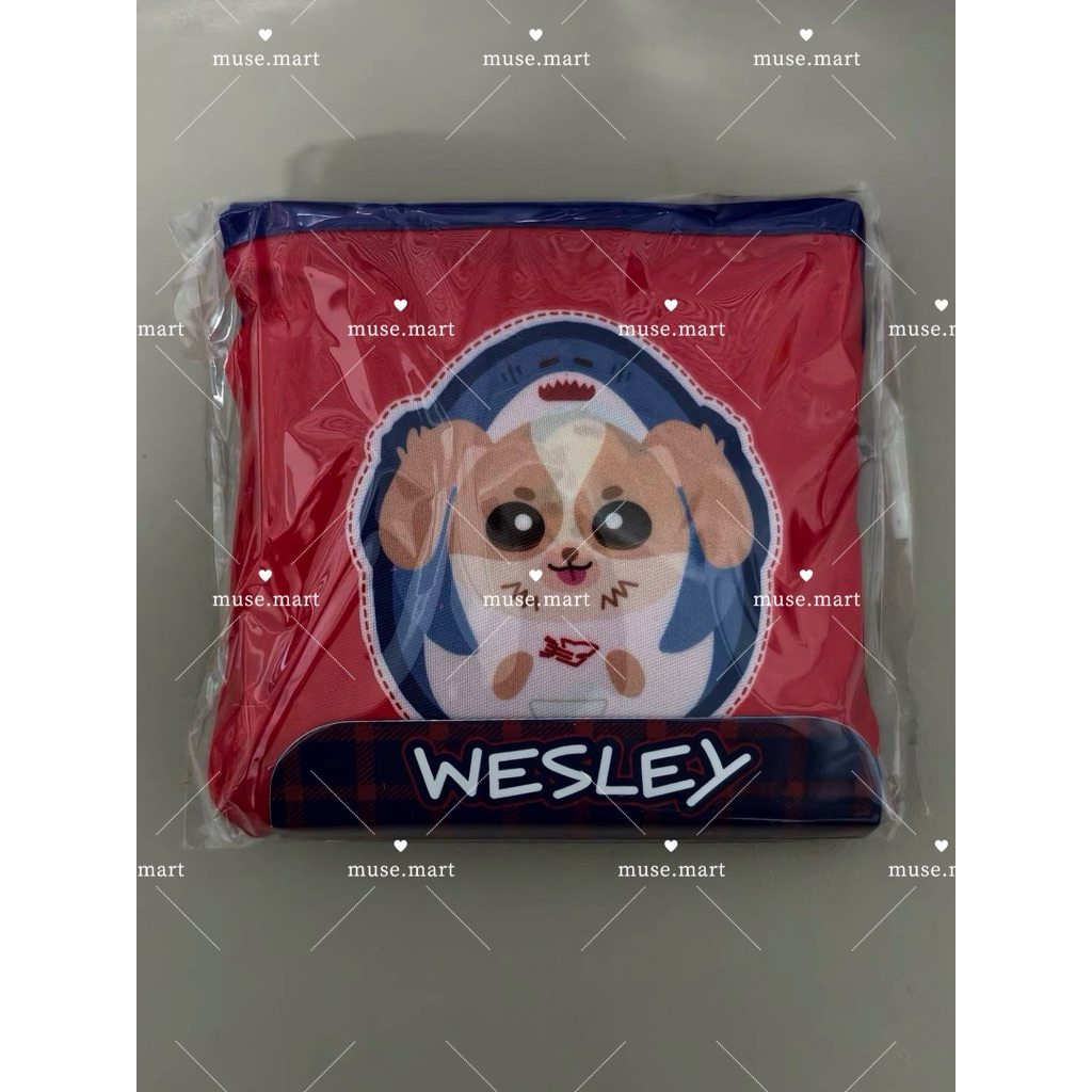 (พร้อมส่ง) WESLEY CHARACTER FOLDABLE BAG