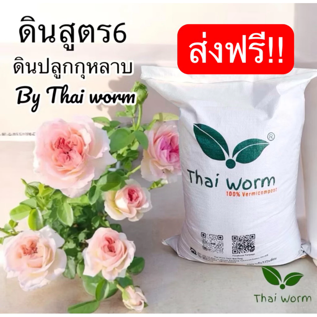 ส่งฟรี‼️ดินกุหลาบสูตร 6 Thai worm สำหรับปลูกกุหลาบและพืชที่ชอบดินโปร่ง