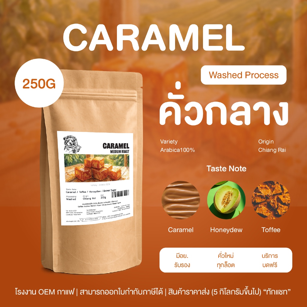 เมล็ดกาแฟคั่วกลาง อาราบิก้าไทย 100% (Caramel) เชียงราย รูปที่ 2