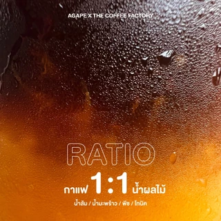 Concentrate Cold Brew คั่วอ่อน (Strawberry) ชงได้ 5-10 แก้ว กาแฟสูตรเข้มข้น อาราบิก้า 100%