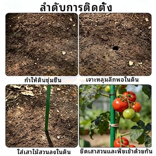 ชุด 10 ชิ้น ไม้ค้ำต้นไม้ เสาไม้เลื้อย 60-180ซม หนา 8-16มม เหล็กเคลือบPE กันน้ำกันสนิม สำหรับปลูกผัก มะเขือเทศ ทำซุ้มกิ่ง