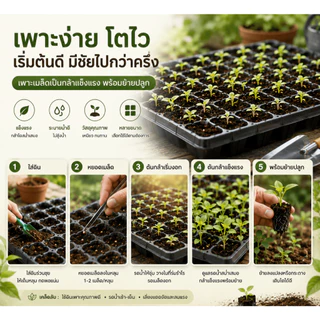 ถาดเพาะชำ รุ่นหนา 80กรัม ถาดเพาะกล้า ถาดเพาะเมล็ด ถาดเพาะชำ ขนาด 21 32 50 72 105 128 200 หลุม