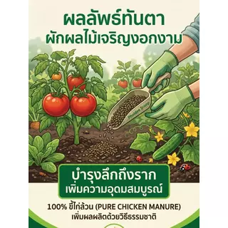 [ส่งฟรีร้านโค้ดคุ้ม] ขี้ไก่อัดเม็ด ปุ๋ยอินทรีย์มูลไก่ (ขนาด 5kg / 10kg / 20kg) ปุ๋ยบำรุงต้น บำรุ่งใบ ลดกลิ่นเหม็น