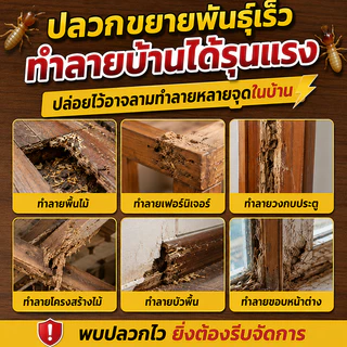 👍ติดเชื้อต่อกัน ตายยกรัง!🐜เหยื่อล่อปลวก ยากำจัดปลวกตายยกรัง 16 เม็ด/กล่อง ยากำจัดปลวก WavioSan แบรนด์แท้จากออสเตรเลีย