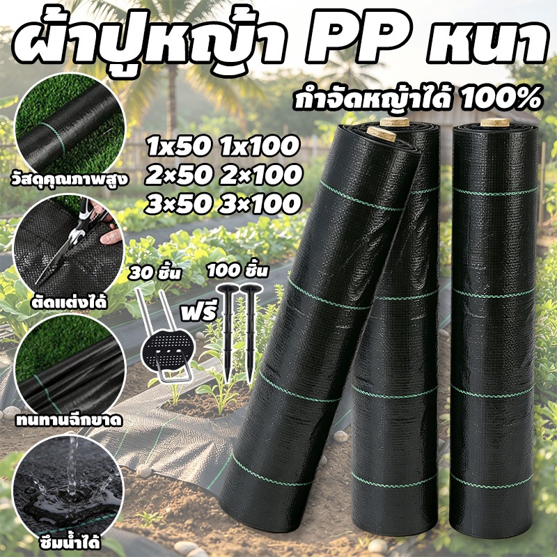 พลาสติกคลุมดิน ผ้าคลุมดิน คลุมวัชพืช พลาสติกเกรดส่งออก ฆ่าหญ้า 1x100 2x100 3x100