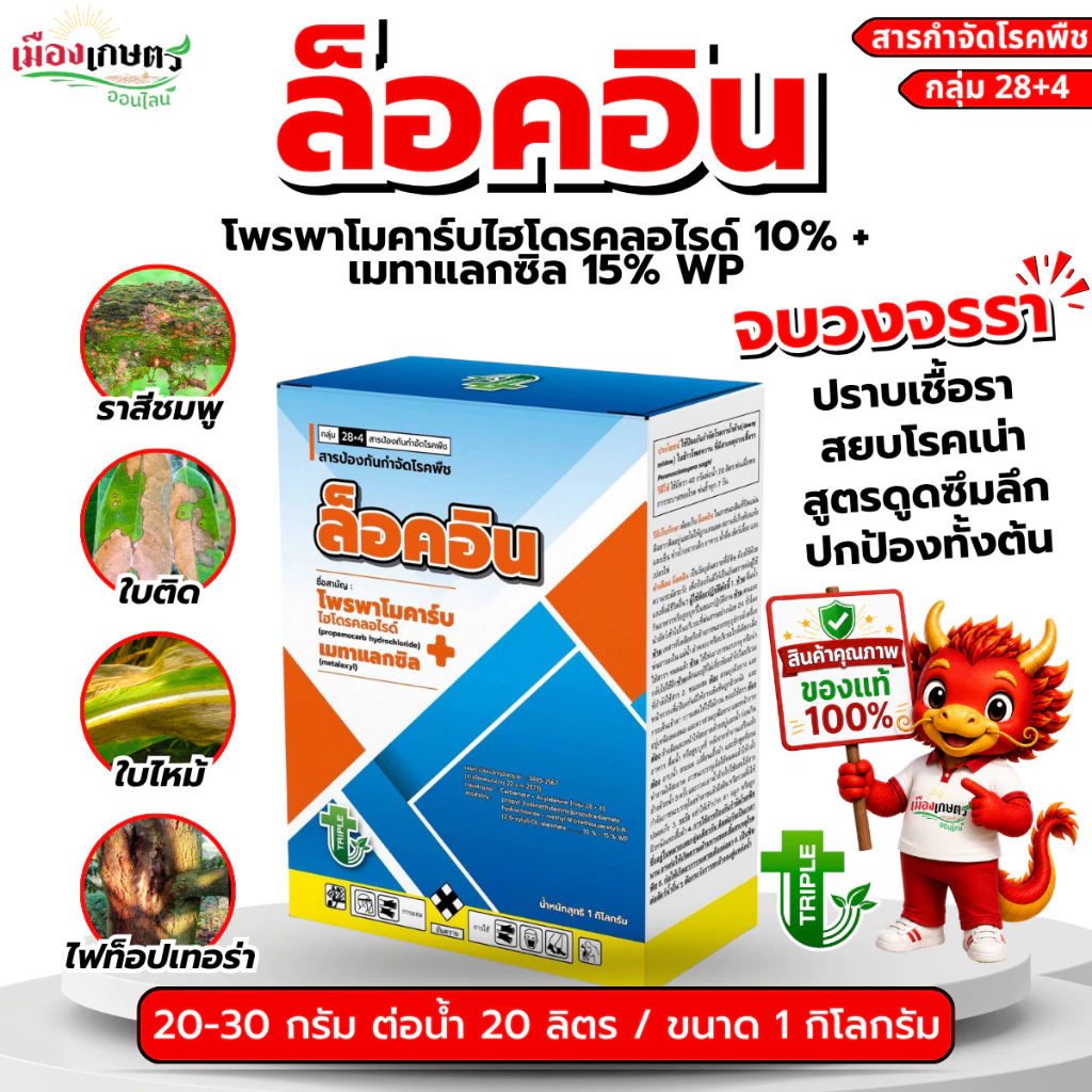 ล็อคอิน ขนาด 1 กิโลกรัม โพรพาโมคาร์บ + เมทาแลกซิล 10+15% wp โรคพืช เชื้อรา แบคทีเรีย ใบเน่า รากเน่า โคนเน่า ใบไหม้ ใบจุด
