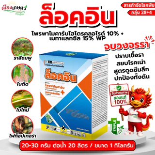 ล็อคอิน ขนาด 1 กิโลกรัม โพรพาโมคาร์บ + เมทาแลกซิล 10+15% wp โรคพืช เชื้อรา แบคทีเรีย ใบเน่า รากเน่า โคนเน่า ใบไหม้ ใบจุด