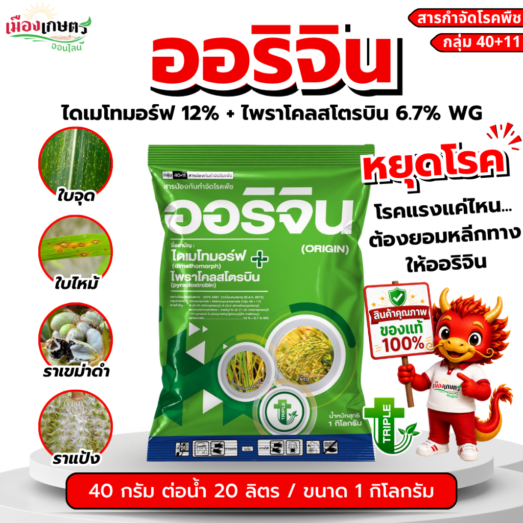 ออริจิน 1 กิโลกรัม ไดเมโทมอร์ฟ 12% +  ไพราโคลสโตรบิน 6.7% WG TTT จบปัญหาเชื้อรา ครบจบในกล่องเดียว เอาอยู่ทุกอาการ