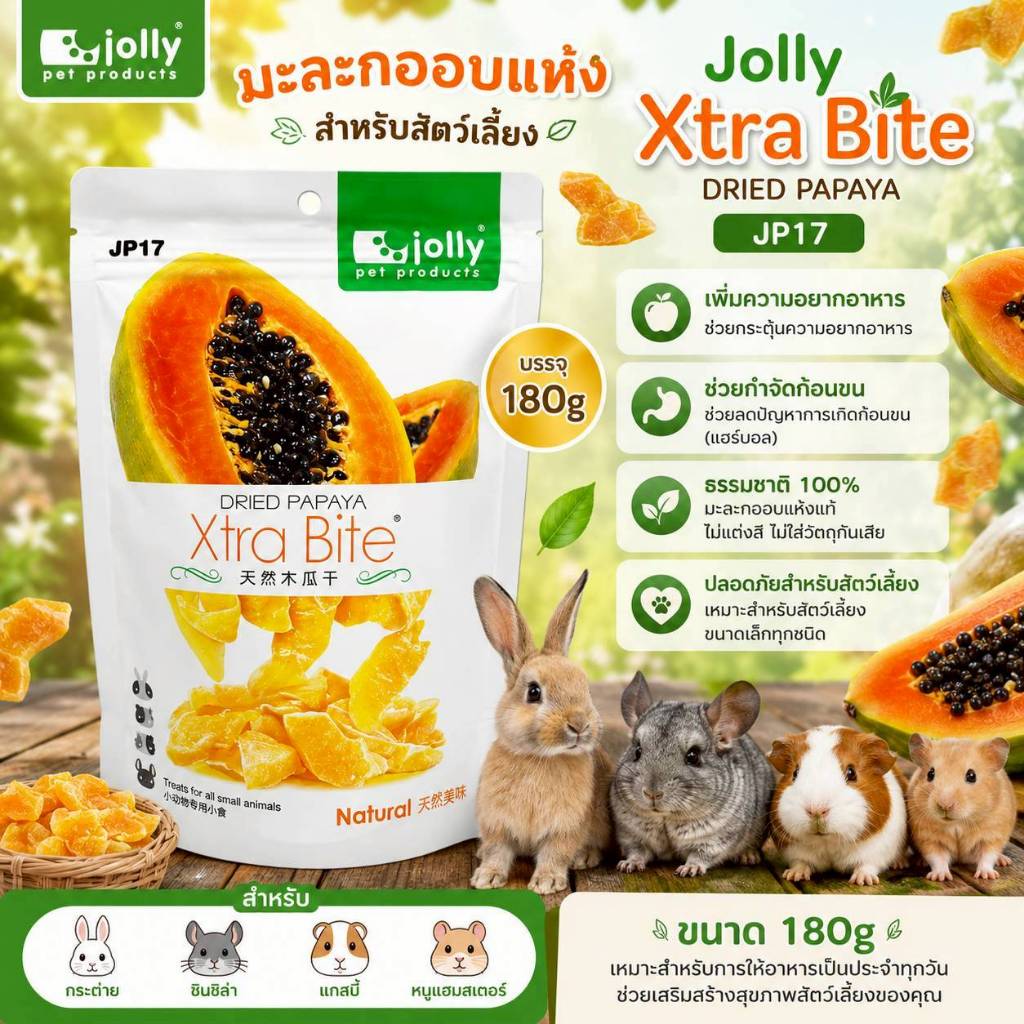 Jolly (จอลลี่) Xtra Bite Dried Papaya มะละกอ อบแห้ง สำหรับ กระต่าย แกสบี้ หนูแฮมสเตอร์ ชินชิล่า (180g) (JP17)