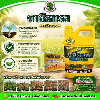 คายีซาเรส(เหลือง) 4 ลิตร ยกลัง มี 6 แกลลอน กลูโฟซิเนต-แอมโมเนียม 15% กำจัดหญ้าใบแคบและใบกว้างได้
