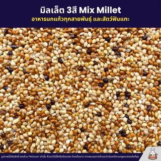 (5KG/10KG) มิลเล็ต 3สี Mix Millet เกรด A อาหารนกเขาเล็ก นกแก้ว และสัตว์ฟันแทะ ใหม่ สด สะอาด ร่อนฝุ่นทุกถุง