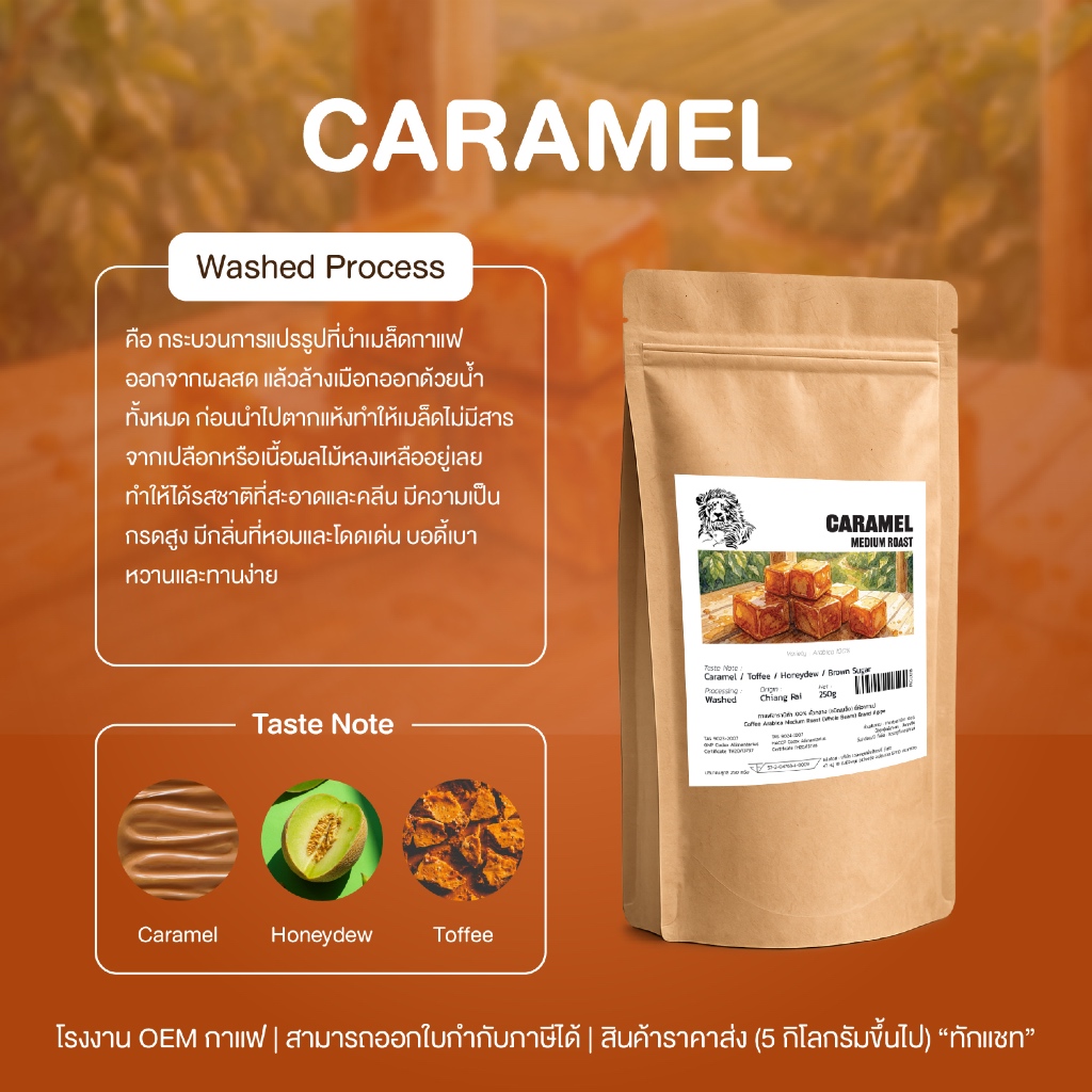 เมล็ดกาแฟคั่วกลาง อาราบิก้าไทย 100% (Caramel) เชียงราย รูปที่ 4