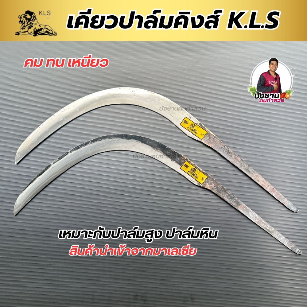 เคียวปาล์มคิง เคียวหัวสิงค์ KLS. ของแท้ เคียวตัดปาล์ม ทน คม เหนียว เคียวดำ เคียวขาว นำเข้าจากโรงงานมาเลเซียพร้อมส่ง