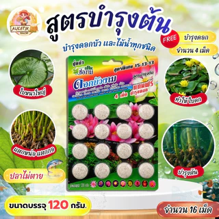 ปุ๋ยบัว ปุ๋ยบอนสี ปุ๋ยไม้น้ำ Golden Flowers 14 เม็ด มี 2 สูตร สูตรเร่งต้น และเร่งดอก #ปุ๋ยบัว