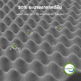 Novilla ที่นอนยางพาราแท้ 6 ฟุต รุ่น IceMint สปริงพ็อกเก็ต ผ้าไหมเย็น ระบายอากาศดี รองรับกระดูกสันหลัง บรรเทาปวดหลัง