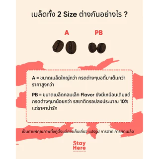 เมล็ดกาแฟคั่วอ่อน SIRINYA (Natural)
