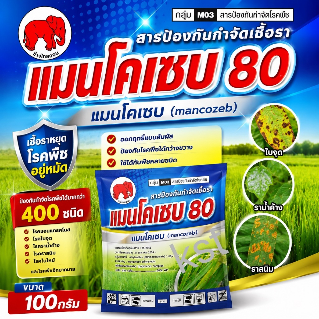 แมนโคเซบ 80 mancozeb น้ำหนัก 100 กรัม สารกำจัดเชื้อราสาเหตุโรคพืชได้อย่างกว้างขวาง เช่น โรคแอนแทคโนส โรคราน้ำค้าง โรคใบจ