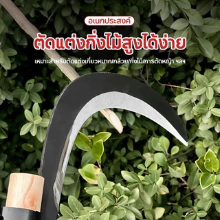 มีดขอ เคียว เคียวตัดกิ่งสูง เกี่ยว เก็บผลไม้ บนที่สูง ไม่ต้องปีนป่าย ให้เสี่ยงอันตราย เหล็กแมงกานีส หนา คม แข็งแรงทนทาน