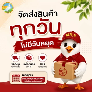 ผักกาดดองเค็ม ฮั่วน่ำฉ่าย ขนาด 230 กรัม แพ็ค 6 กระป๋อง