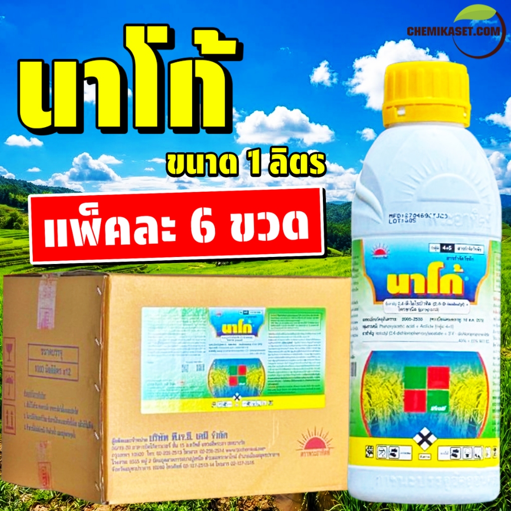 (แพ็ค 6 ขวด) นาโก้ ขนาด 1 ลิตร ทีเจซี ตราพระอาทิตย์