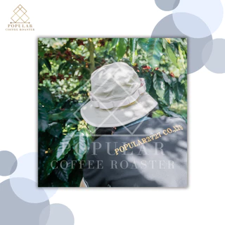 Popular coffee roaster เมล็ดกาแฟคั่ว Roma