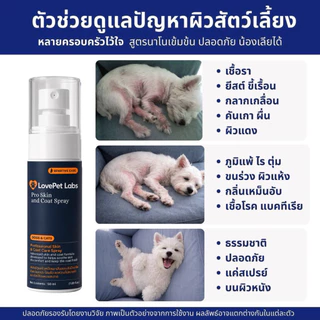 สเปรย์เชื้อราสุนัขและแมว ช่วยลดแบคทีเรีย ยีสต์ คันเกาผื่น แผล ผิวแดง ดับกลิ่นเหม็น สูตรนาโนเข้มข้น ส่งด่วน [50ml]