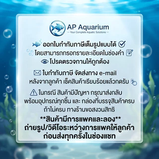 Resun LP-60 LP-100 LP-200 ปั๊มลมเสียงเงียบ แรงสม่ำเสมอ เครื่องศูนย์แท้ 100% ปลั๊ก2 ขาไทย มีสายดิน 🔌 LP60 LP100 LP200