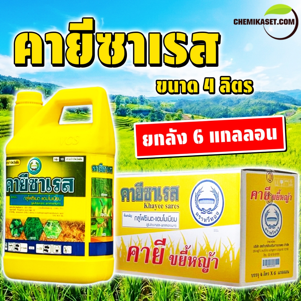 (ยกลัง 6 แกลลอน) คายีซาเรส 4 ลิตร กลูโฟซิเนตแอมโมเนียม สารกำจัดหญ้าทุกชนิด ตราหวีทอง ของแท้ พร้อมส่ง