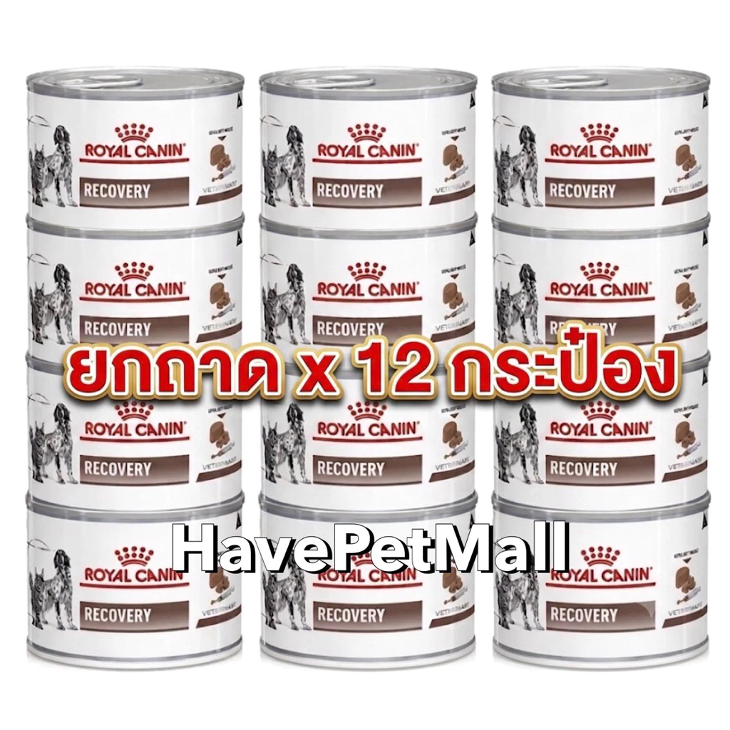 (ยกถาด 12 กระป๋อง) Royal Canin Recovery 195g อาหารพักฟื้น สัตว์ป่วย