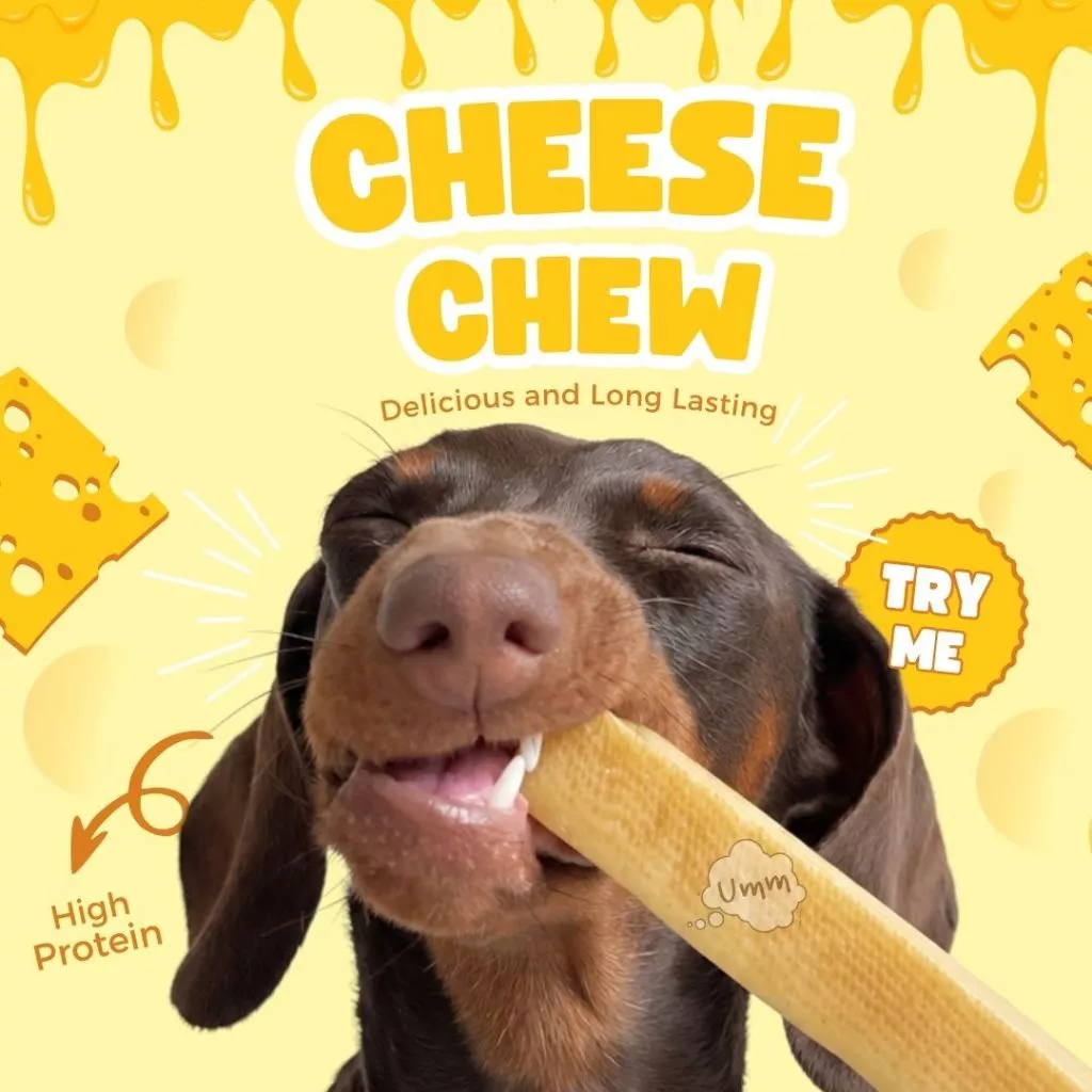 ชีสแท่ง Yak Cheese ช่วยขัดฟันอขูดหินปูน ดับกลิ่นปาก ขนมขัดฟันสุนัข umm ขนมหมา