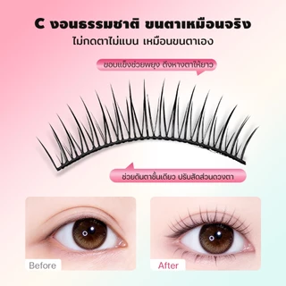Dreehalo ซีรีส์มือใหม่ ใสธรรมชาติ กันน้ำ ขนตาปลอมสไตล์เกาหลี เบา ฟู เป็นธรรมชาติ ใส่แล้วตาหวาน ลุคไอดอลทุกวัน F298