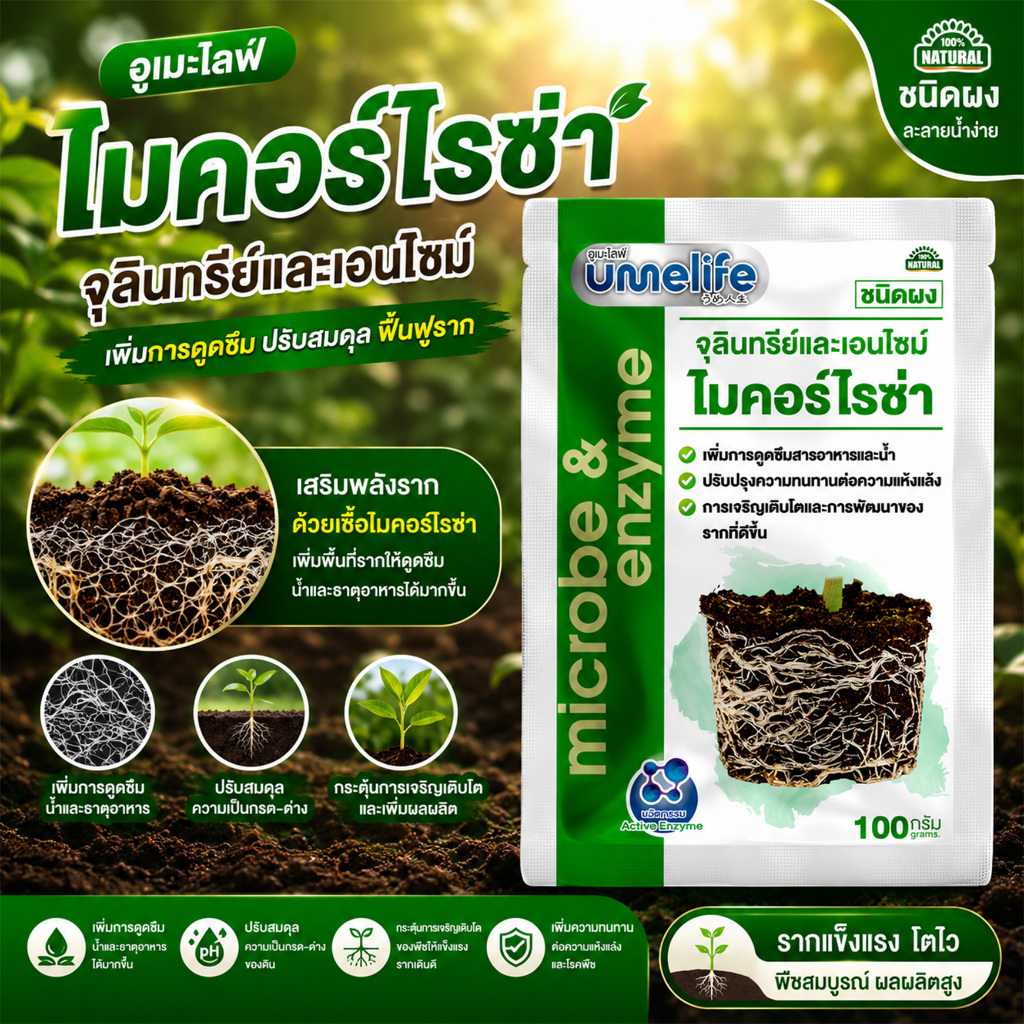 อูเมะไลฟ์ ไมคอร์ไรซ่า 100 กรัม จุลินทรีย์บำรุงราก เร่งการแตกราก รากเยอะขึ้น รากแน่น เชื้อราบำรุงราก.