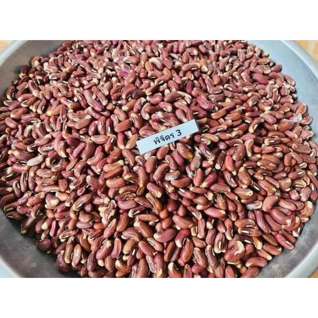 เมล็ดพันธุ์ถั่วฝักยาวพิจิตร 40 เมล็ดราคา 39 บาทซื้อ3 แถม1