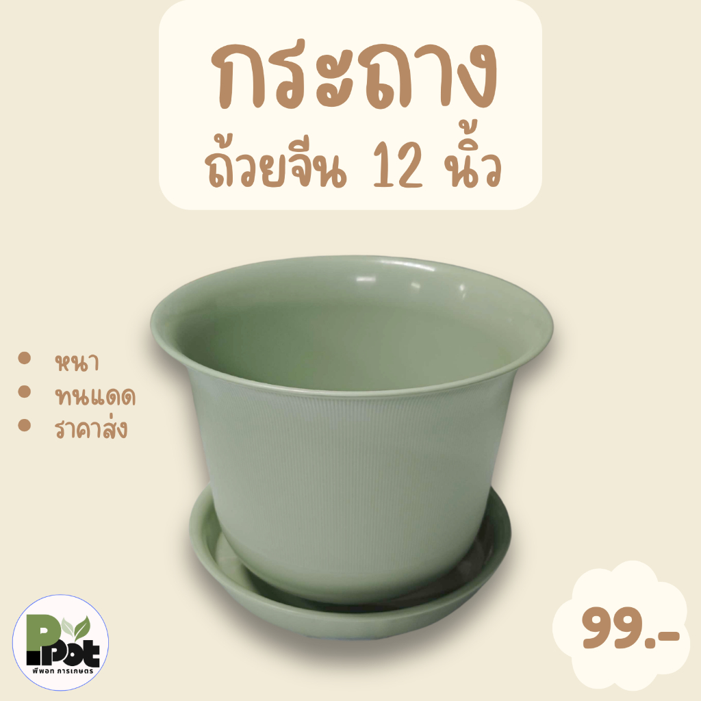 กระถางต้นไม้ รุ่นถ้วยจีน ไซส์ 12 นิ้ว + จานรอง มีหลายสีให้เลือก สีขาว เทา เขียว
