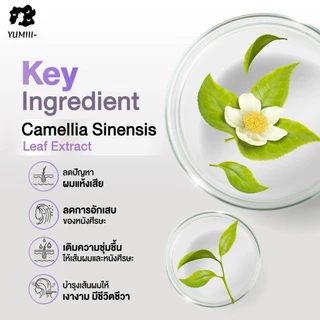 Farger ผงฟอกสีผม Professional ไฮโดรเจน Developer Violet Peroxide ผงฟอกม่วง ผงฟอกน้ำเงิน ฟอกผม ยกสีผม ของแท้