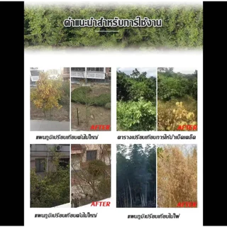 【ซื้อ 3 แถม 1】💥100% รากไม้เน่า ยาฆ่าต้นไม้ใหญ สารกำจัดกอไผ่ ยาฆ่าตอไม้ ตรงไปที่ราก สร้างมาเพื่อฤดูฝน กำจัดวัชพืชรากเน่า