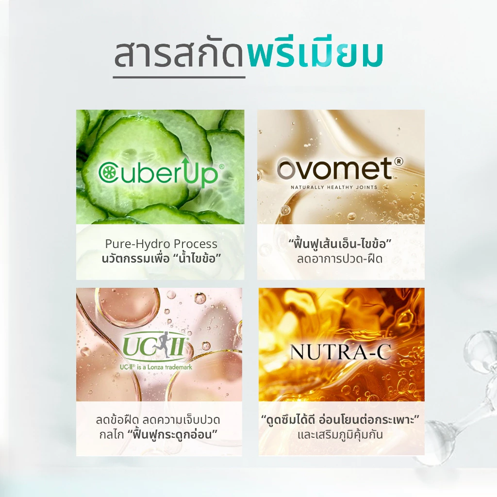 Wellveness Flex Golg Dietary Supplement Product (ขนาดทดลอง) thumbnail 4