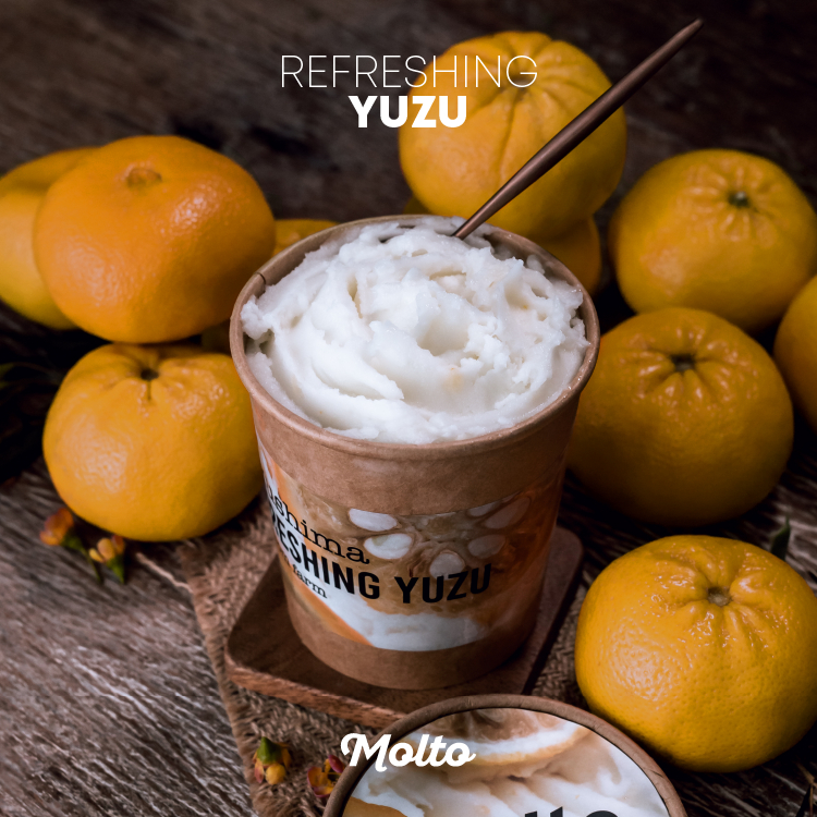 Molto ไอศกรีม รสยูซุ 16 ออนซ์  - Molto Premium Gelato - Ice cream Refreshing Yuzu 16 oz. ‼️ซื้อ 4 ถ้วย ส่งฟรี คละรสได้‼️