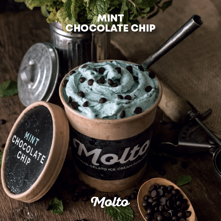 Molto ไอศกรีม รสมิ้น ช็อกโกแลตชิพ 16 ออนซ์ - Molto Premium Gelato-Ice cream Mint Chocolate Chip 16 o